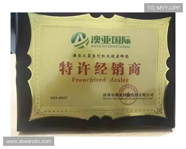 如何安全快速地安装下载澳亚国际APP官网指南